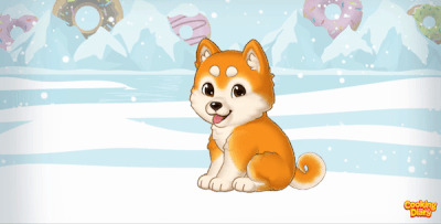 Dog playing